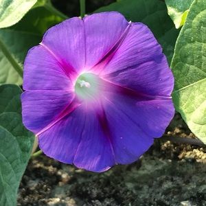 Meet your Posher, Ben